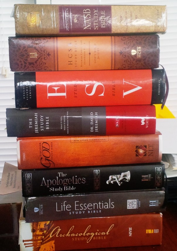 StudyBibles